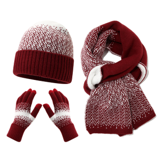 Women’s Winter Knitted Hat Scarf Gloves Cold Weather Knit Set