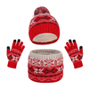 Winter Ladies Hat Neckwarmer Glove Set