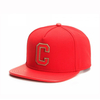 Customizable Logo Embroidered Cotton Flat Brim Snapback Cap 