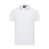 Custom Embroidered Men's Polo Shirt – Short Sleeve Business Casual Polo for Wholesale Bulk Orders